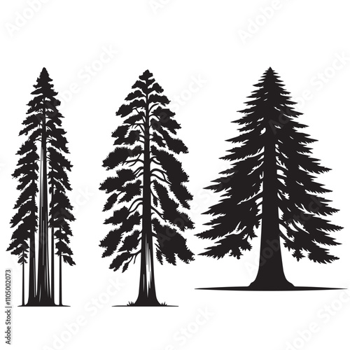 redwood tree silhouette  set - redwood leaf vector -organic nature vector- tree silhouette - tree, nature botanical set - wood silhouette set  
