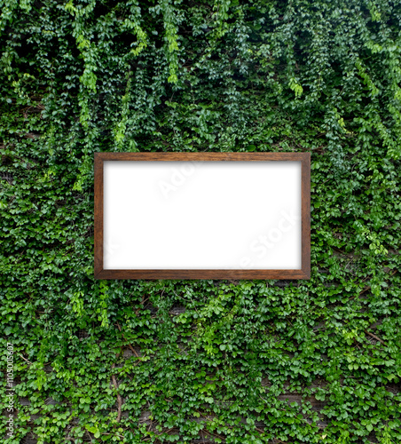 Wallpaper Mural Creative leaflets with Frame, free copy space. Nature spring concept lying flat for background Torontodigital.ca