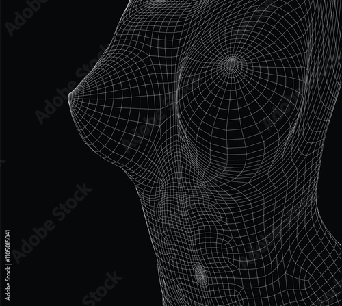 Beautiful naked woman poses. Female Body. 3d wireframe vector.