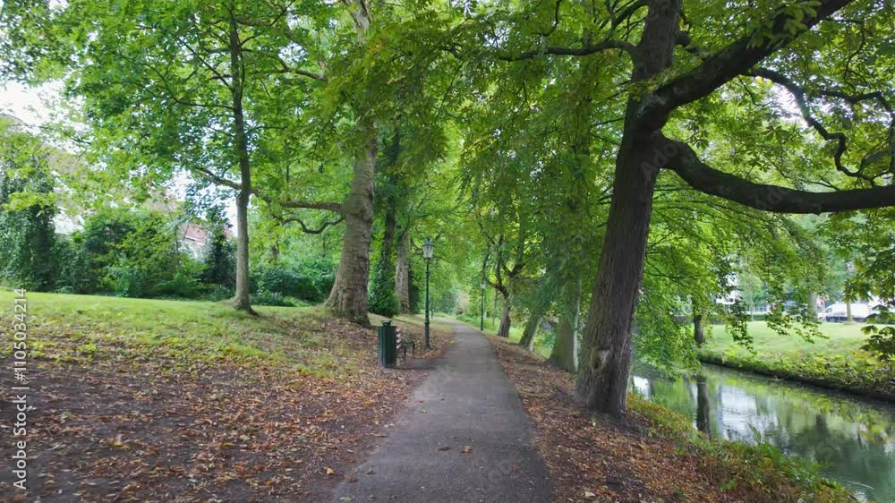 Tranquil pathway surrounded by lush trees and a canal, Amersfoort, Netherlands Tranquil pathway surrounded by lush trees and a canal, Amersfoort, Netherlands