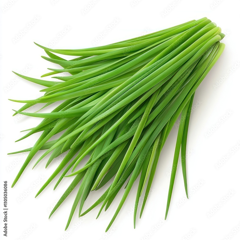 A bunch of fresh green chives ready for cooking A bunch of fresh green chives ready for cooking