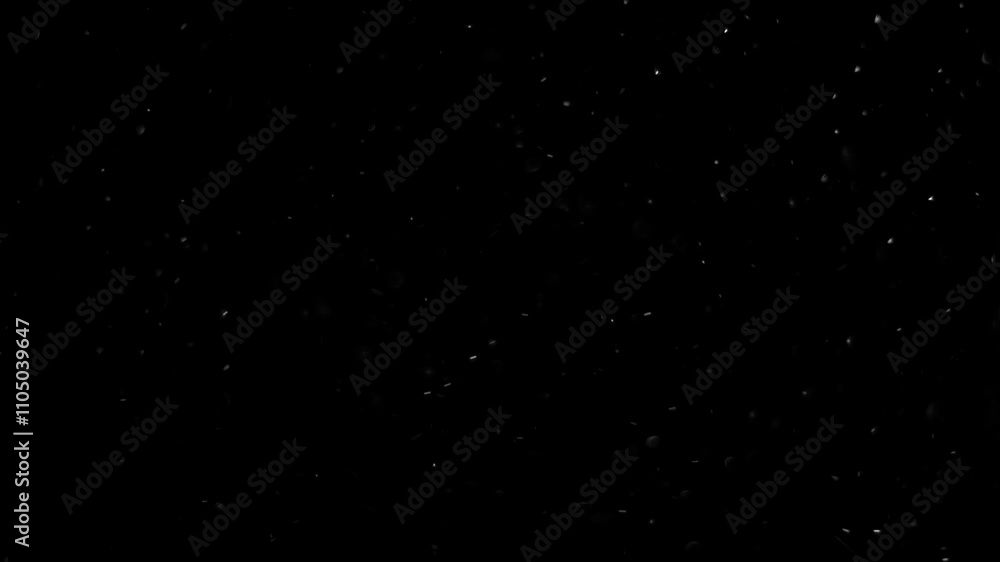 Abstract bokeh of dust particles floating in the air on black background. Slow motion. Abstract animated overlay effect of white particles flying. Loop animation. 4k footage