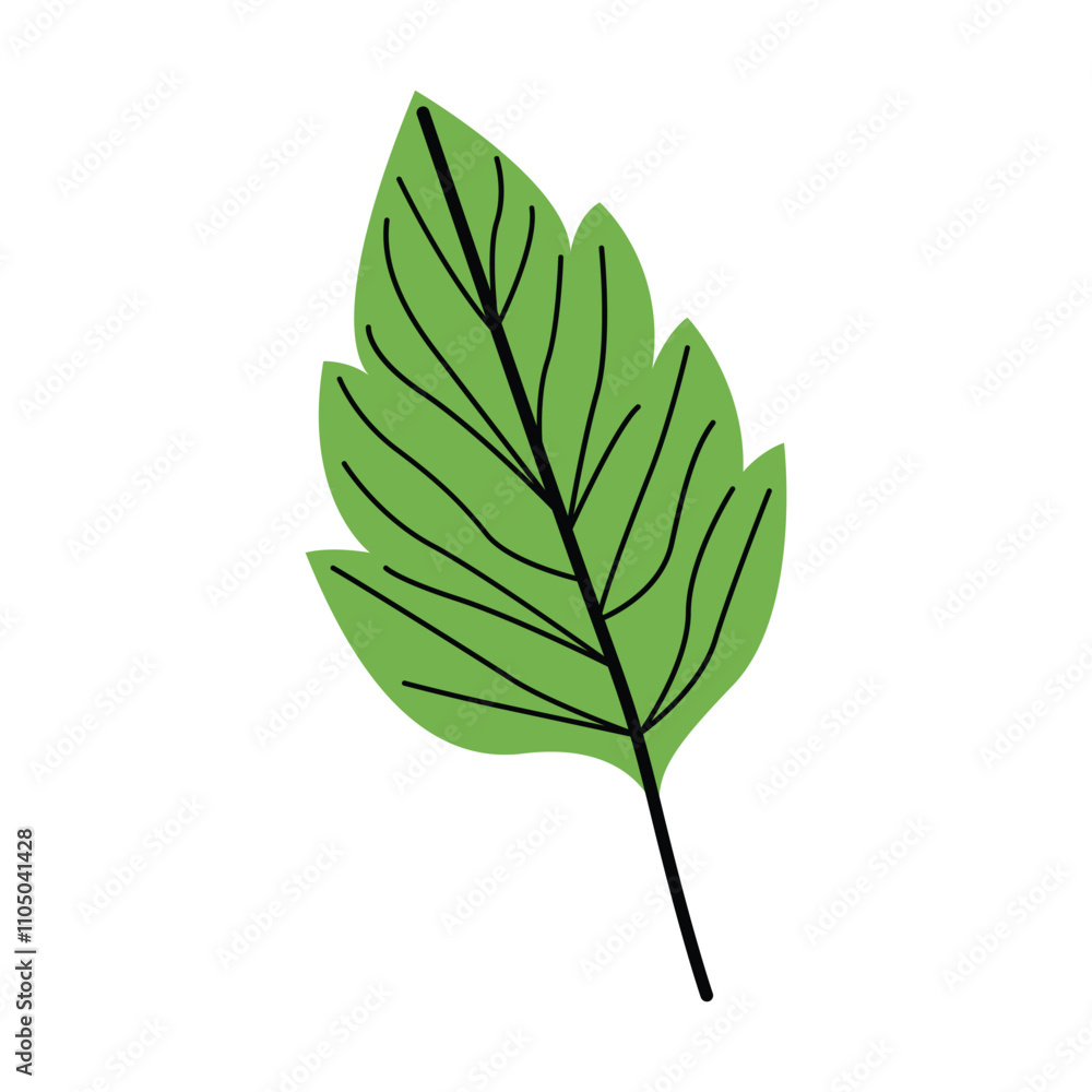 Naklejka premium Green leaf Vector Illustration