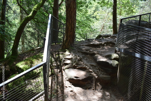 Mullerthal trail in the north of Luxembourg photo