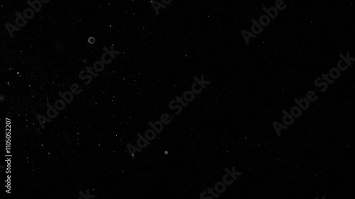 Abstract bokeh of dust particles floating in the air on black background. Slow motion. Abstract animated overlay effect of white particles flying. Loop animation. 4k footage