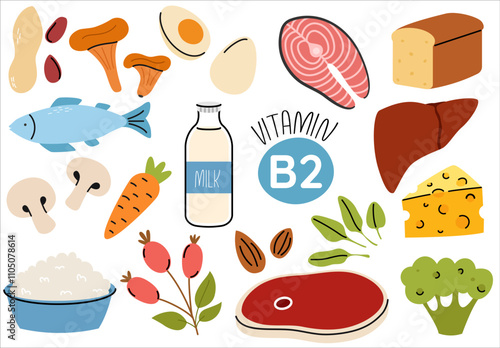 Set of vitamin B2 source dietetic products. Organic nutrition. Eggs, salmon, rose hip, cottage cheese, meat, mushroom, liver, almond, milk