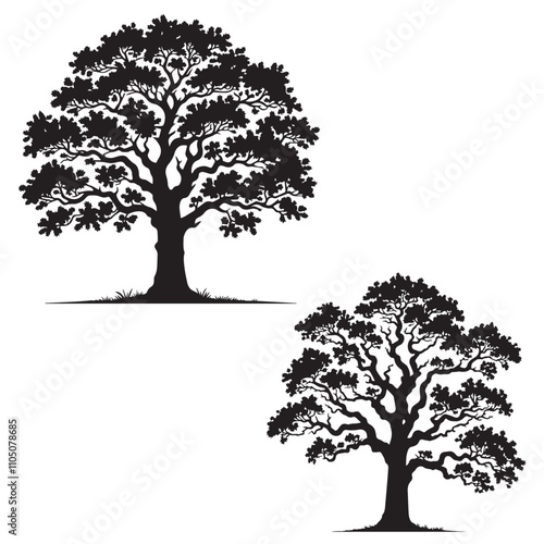  silhouette set - vector of white Oak set - tree silhouette set - nature tree  teaf  photo