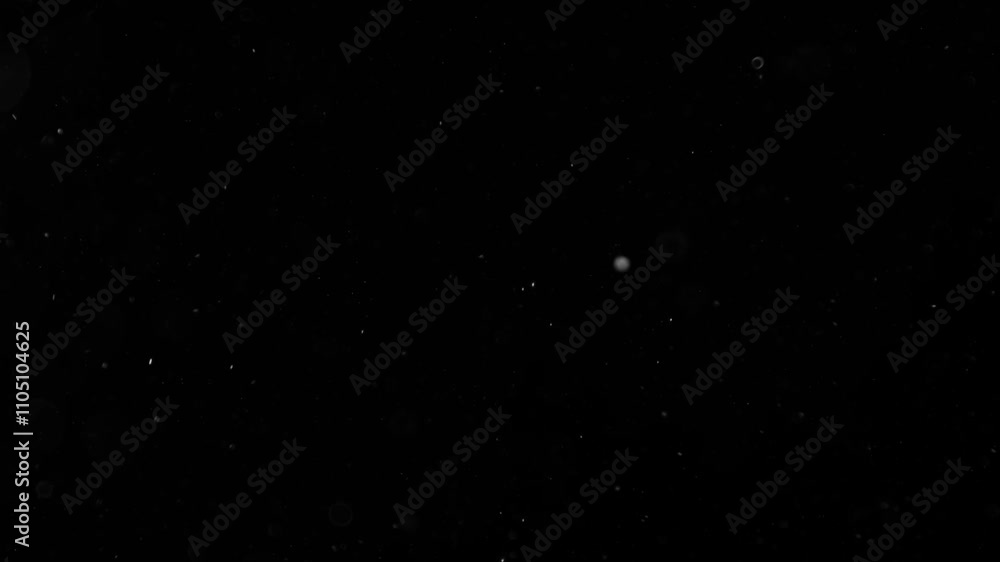 Abstract bokeh of dust particles floating in the air on black background. Slow motion. Abstract animated overlay effect of white particles flying. Loop animation. 4k footage