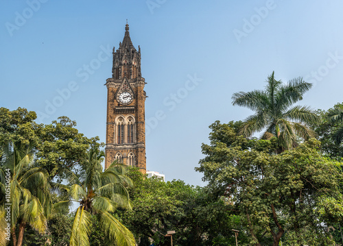 Mumbai, India - 24 November 2024: Historic Rajabai Clock Tower in Mumbai, showcasing beautiful Gothic design, surrounded by lush green trees, set against a clear blue sky, popular landmark photo