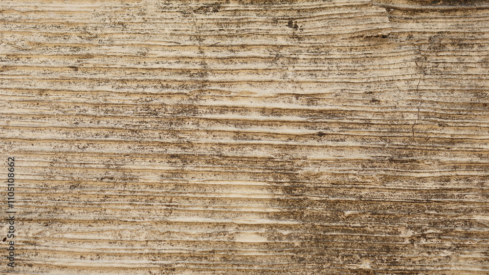 texture background texture background