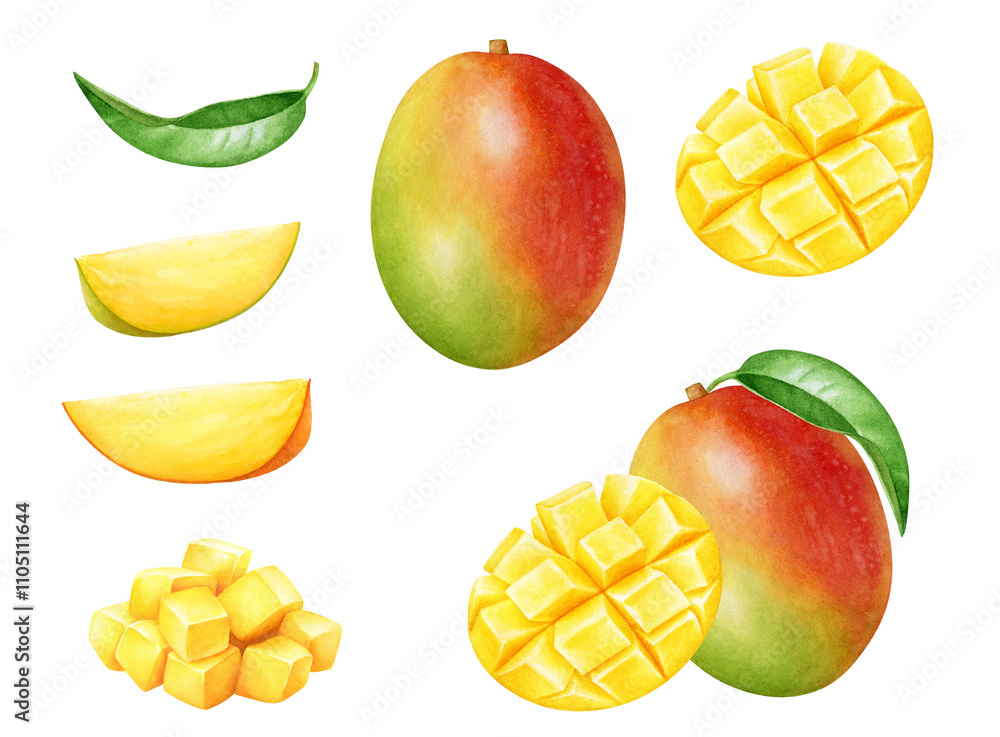 Watercolor mango fruits, fruit parts, slices and leaves isolated on white background. Beautiful botanical illustrations for fruit desidn. Watercolor mango fruits, fruit parts, slices and leaves isolated on white background. Beautiful botanical illustrations for fruit desidn.