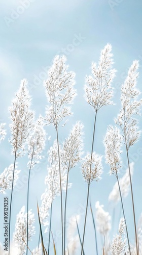 Serene and Peaceful Snowy Winter Landscape with Delicate Frozen Plants and an Ethereal Minimalist Atmosphere Tranquil and Calming Nature Background