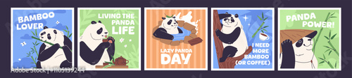 Cards designs set with cute pandas and funny phrases. Templates of postcards with amusing Asian bear eating bamboo, relaxing, drinking tea. Happy Chinese animals have fun. Flat vector illustrations