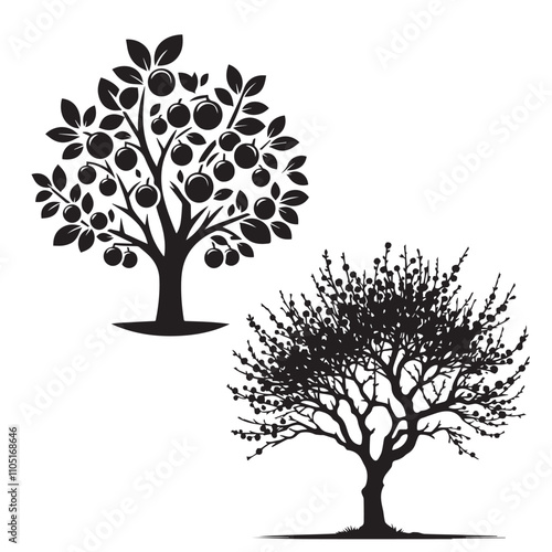 Plum tree silhouette set - vector image of plum tree -  nature tree - fruit tree - plum tree with fruit 