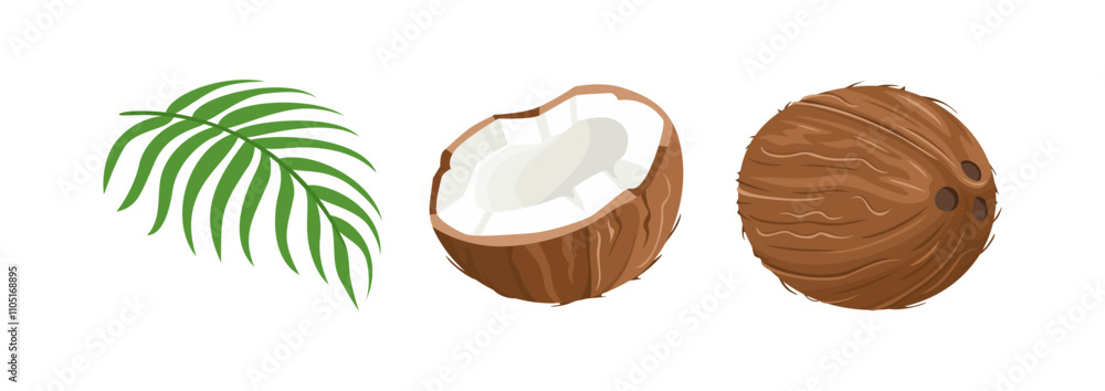 Coconut set. Whole Coconut, half and green leaf. Vector cartoon flat illustration. Food icons. Coconut set. Whole Coconut, half and green leaf. Vector cartoon flat illustration. Food icons.