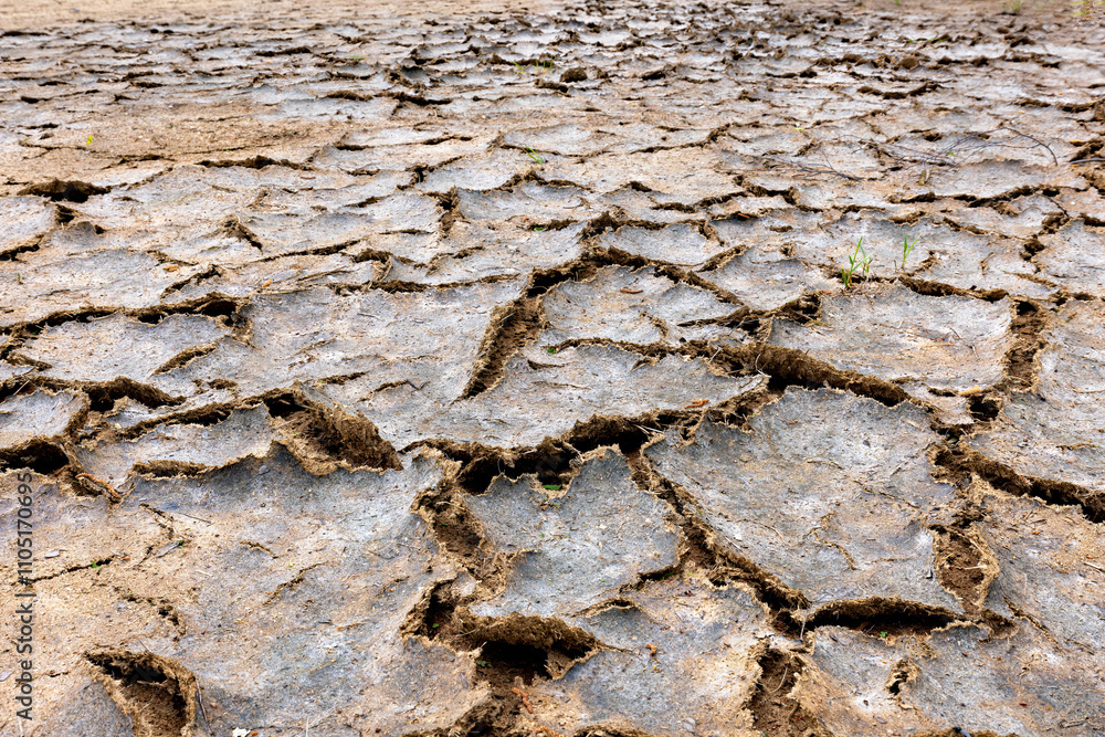 Parched earth reveals intricate patterns under the blazing sun during a drought in summer