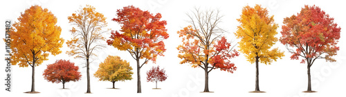 Collection of Beautiful Autumn Trees Isolated on Transparent Background