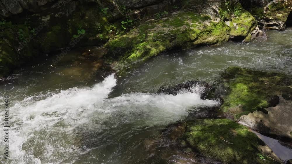 Nature's calm stream flows gently over mossy rocks in a peaceful forest setting during midday Nature's calm stream flows gently over mossy rocks in a peaceful forest setting during midday