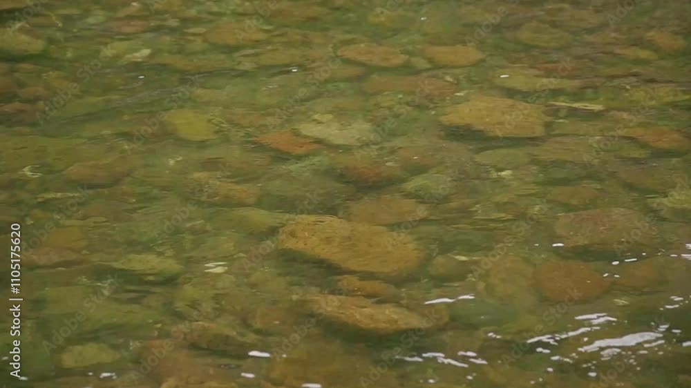 Underwater view of rocks in a clear stream with gentle ripples on the surface Underwater view of rocks in a clear stream with gentle ripples on the surface