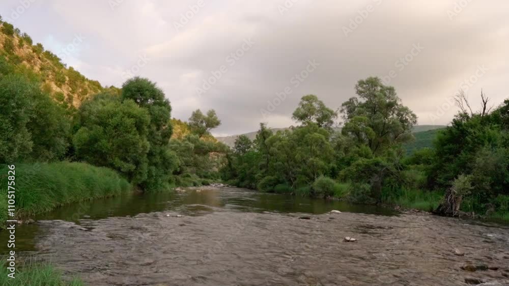 Beautiful river flowing through lush greenery during late afternoon sunlight in a serene natural landscape Beautiful river flowing through lush greenery during late afternoon sunlight in a serene natural landscape