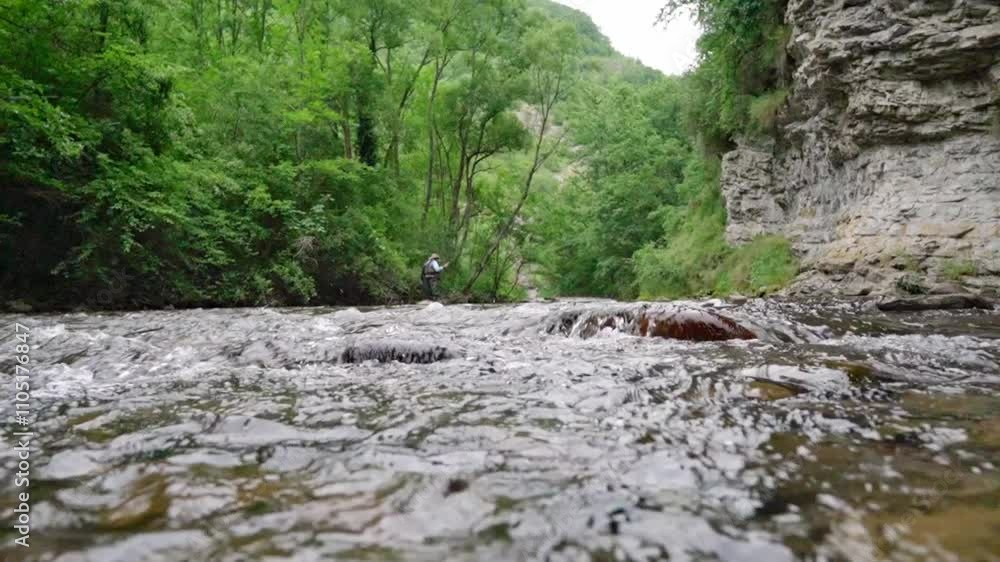 Exploring the tranquil river in a lush forest setting during a warm summer afternoon Exploring the tranquil river in a lush forest setting during a warm summer afternoon