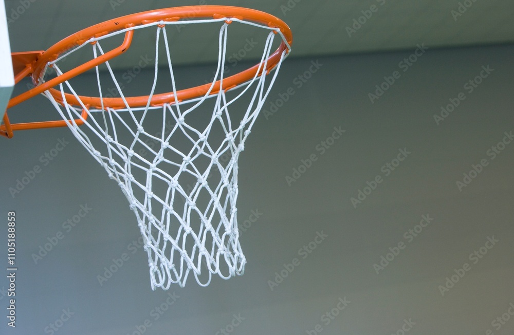 Basket ball nett in the sportshall. Basket ball nett in the sportshall.