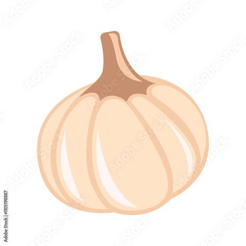 Garlic Vector Illustration