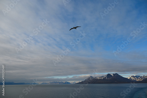 Spitzbergen, Svalbard, Isfjorden photo