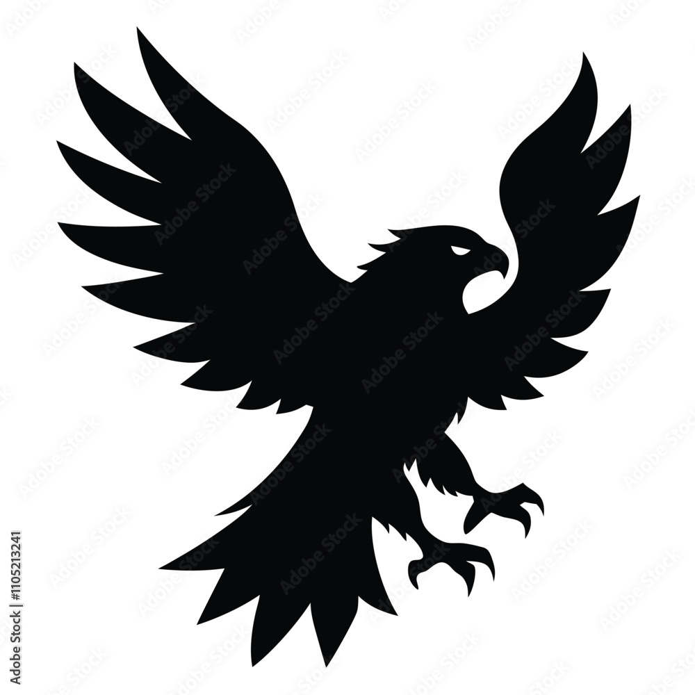 Obraz premium eagle with wings