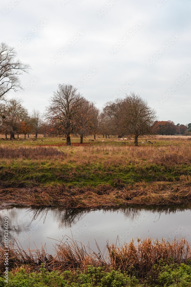 Serene Autumn Landscape with Reflective Pond Serene Autumn Landscape with Reflective Pond