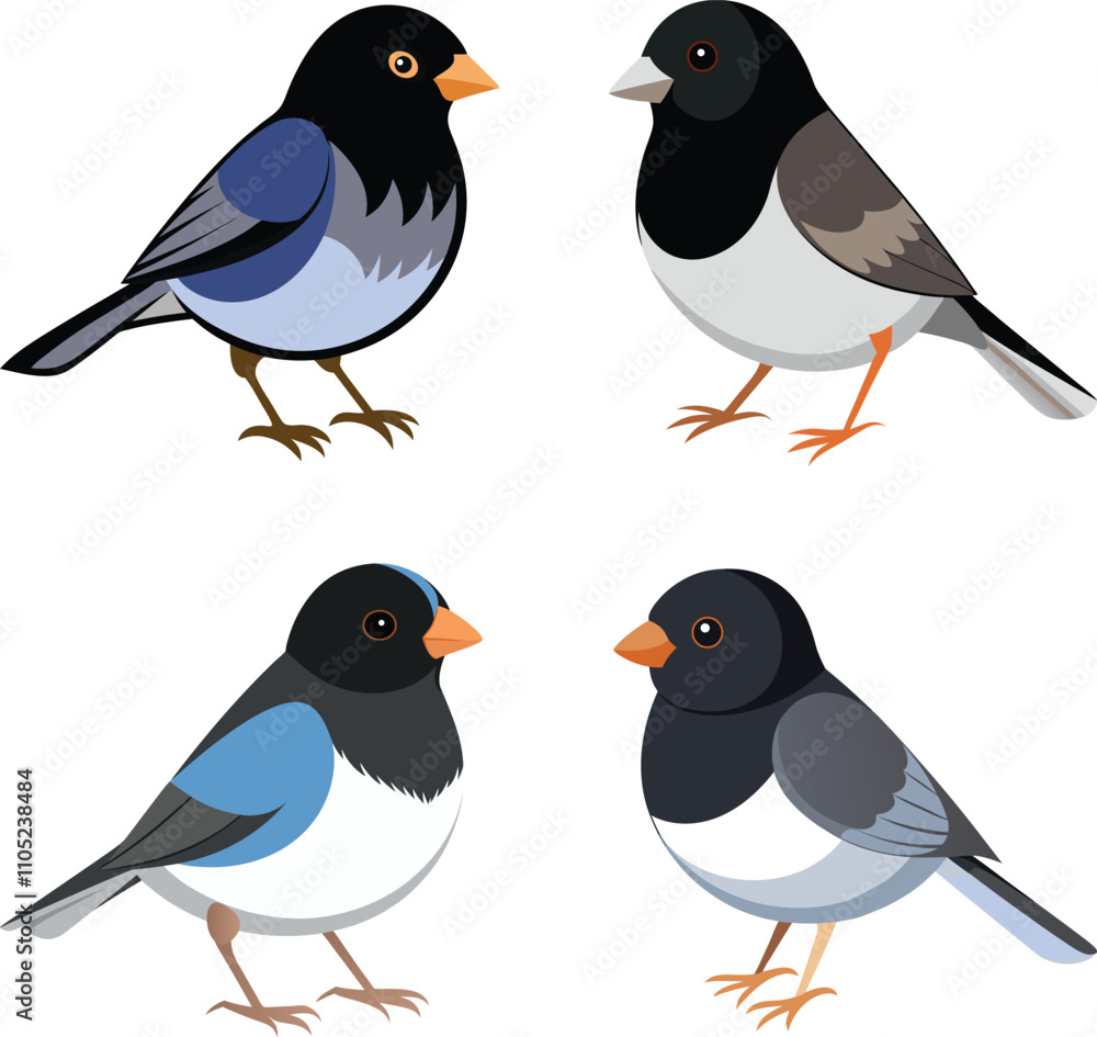 Vector Drawing of Dark-eyed Junco Bird Vector Drawing of Dark-eyed Junco Bird