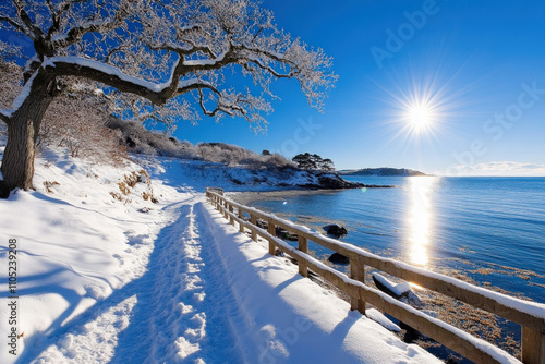 Dorset In Winter