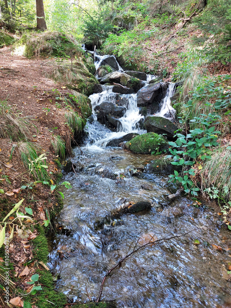 stream flows. Pohorje mountain. Slovenia. Europe