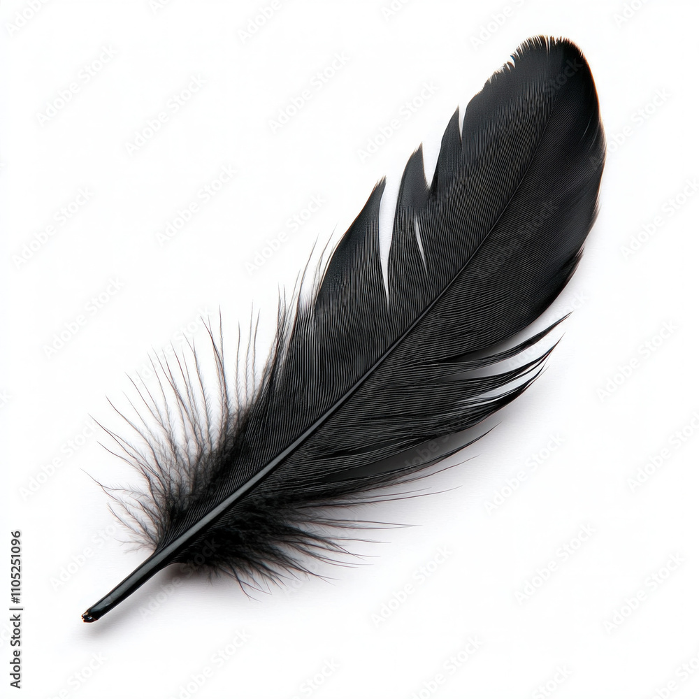 Ink Feather Isolated Ink Feather Isolated