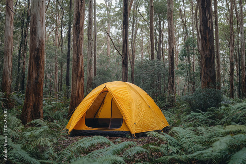 Termite Tent