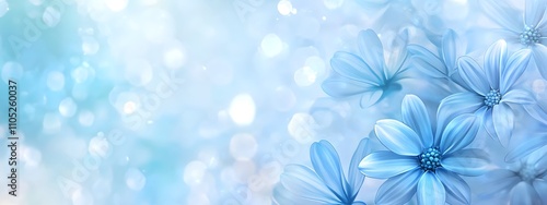 Blue-colored background with blooming chrysanthemums, close-up, blue flowers, blurred background, delicate and soft