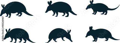 Armadillo Icon Illustration photo