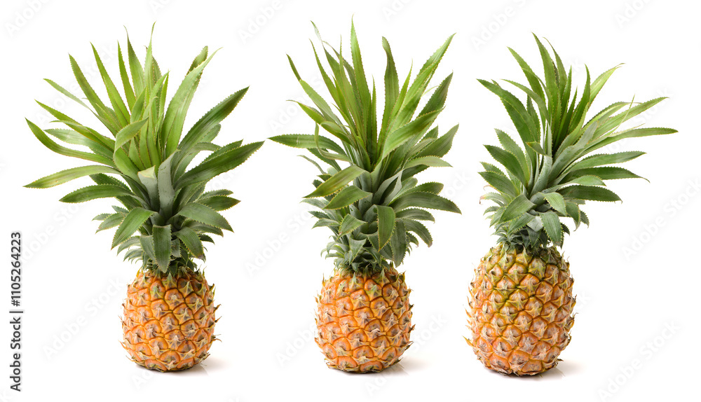 Pineapple on a white background Pineapple on a white background