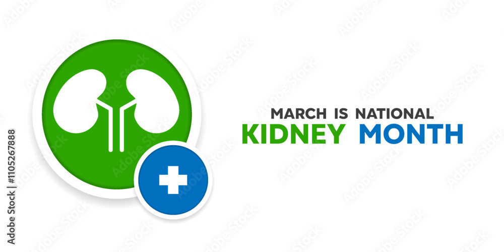 March Is Kidney Month. Kidney and plus icon. Great for cards, banners, posters, social media and more. White background. March Is Kidney Month. Kidney and plus icon. Great for cards, banners, posters, social media and more. White background.