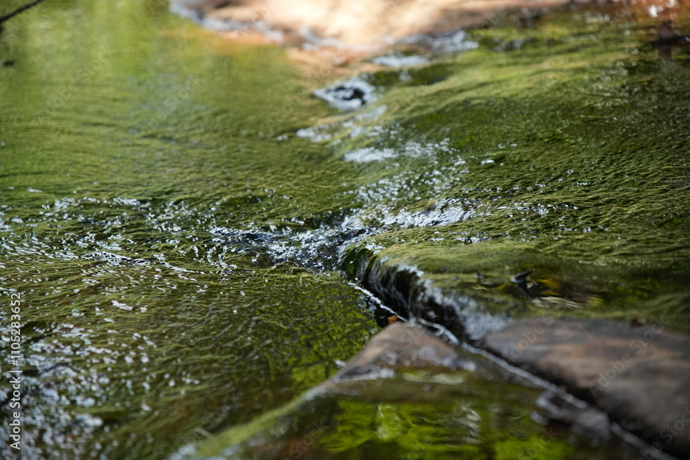 water flowing in the park water flowing in the park