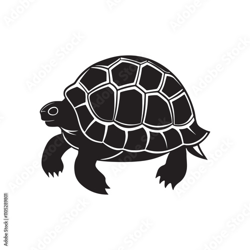 turtle silhouette vector, black and white silhouette, vector and illustration isolated on white background, black and white
