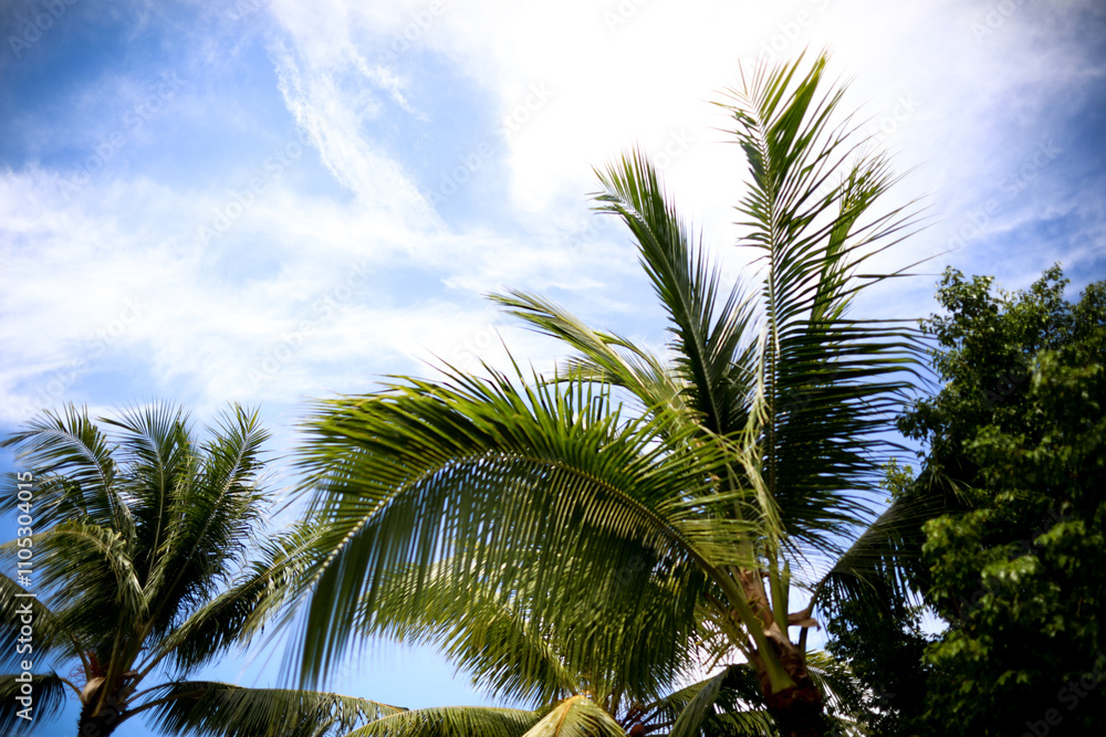 Bora Bora Island, French Polynesia, South Pacific Bora Bora Island, French Polynesia, South Pacific