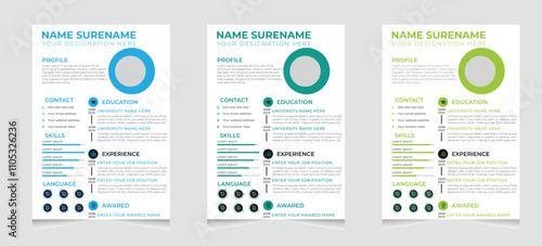 Professional Resume CV Template design Layout