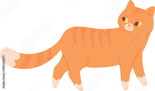 Interested cat looking back. Funny ginger kitten