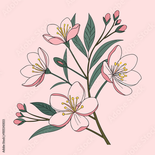 Delicate cherry blossoms floral illustration on pastel pink background