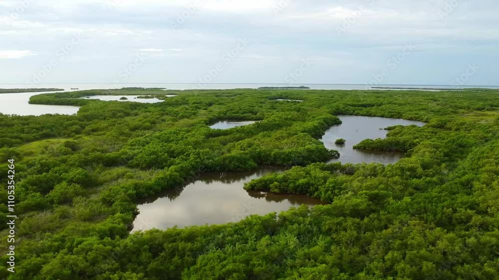 High view of the mangrove canals surrounding the lush tropical vegetation on Holbox Island, Quintana Roo, Mexico. High view of the mangrove canals surrounding the lush tropical vegetation on Holbox Island, Quintana Roo, Mexico.