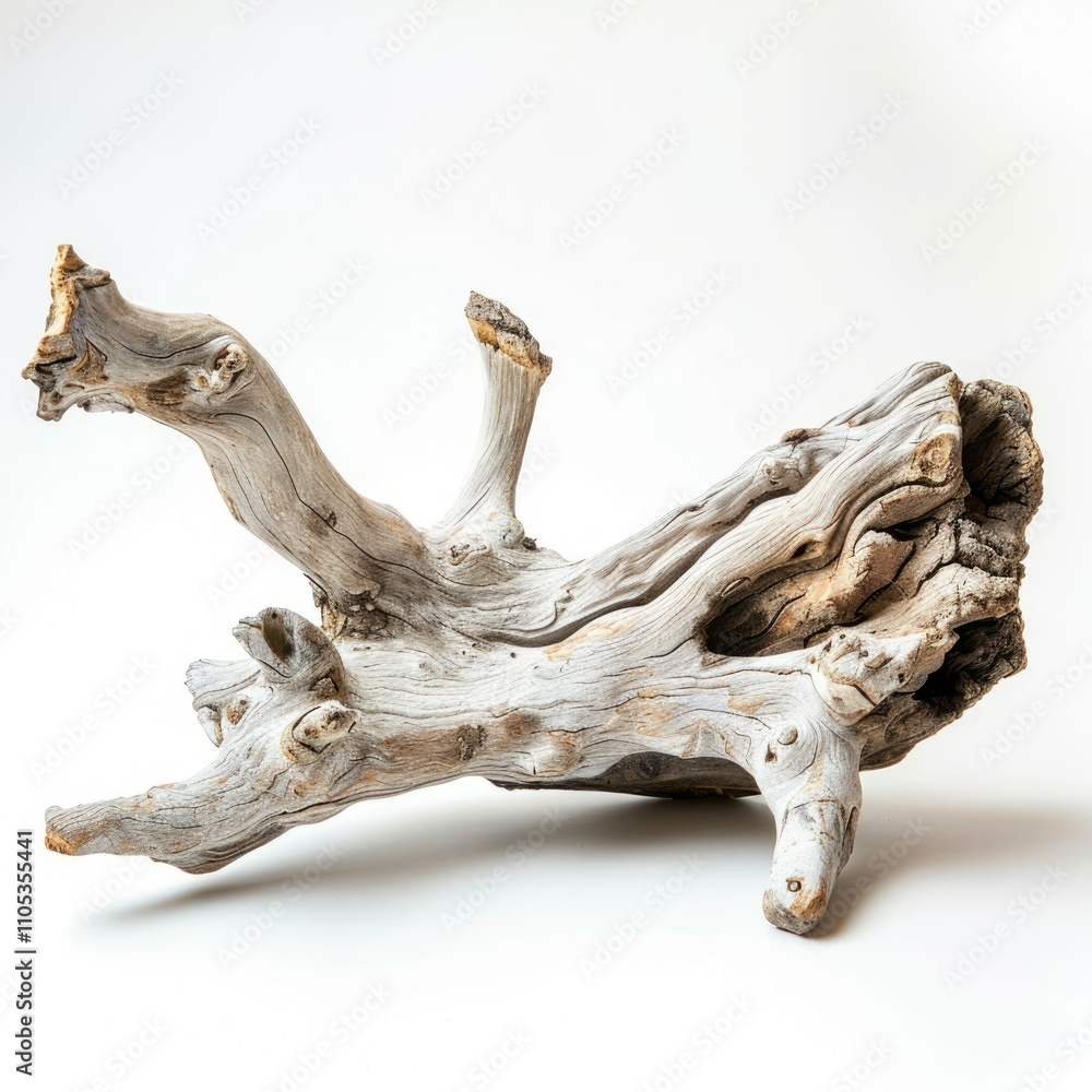 White driftwood on white background White driftwood White driftwood on white background White driftwood