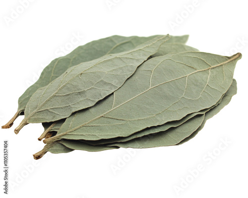 a pile of leaves on a white background photo