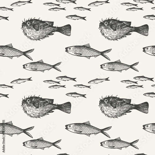 Vector engraved seamless pattern with Fugu fish, Anchovy, fingerling, carp, sardine. Hand drawn repeating background with sea animals. Seafood, delicacy, marine life, animals. For textile, paper
