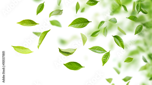 Wallpaper Mural Fresh flying green tea leaves isolated on white background, cut out. Torontodigital.ca